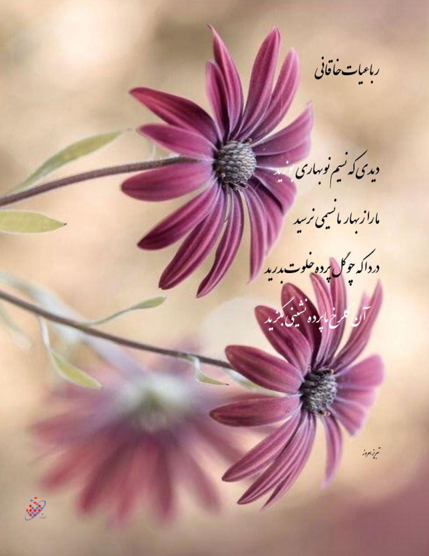 رباعیات خاقانی - آن گلرخ ما  پرده نشینی بگزید -A30